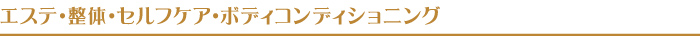 エステ・整体 他 エステ・整体 他
